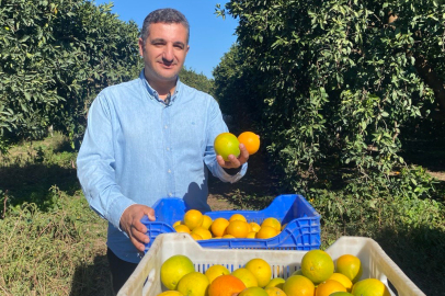 Üreticiden dalında çıkış fiyatı büyüklüğüne göre 22 ile 30 lira arasında değişiyor
