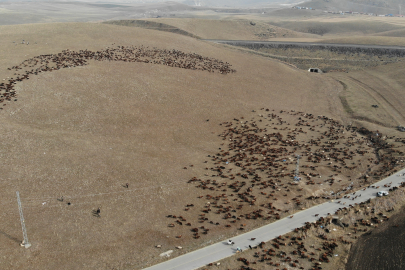 Soğuk hava, zorlu arazi şartları kilometrelerce yol göçerleri bekliyor