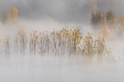 Hevsel Bahçelerinde oluşan sis, ortaya seyri doyumsuz manzaralar çıkardı