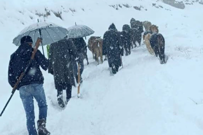 Yoğun Kar Yüzünden Sürü Dağda Mahsur Kaldı...
