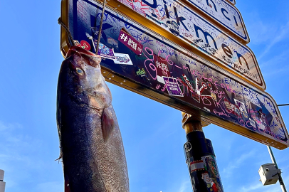 Balıkçıdan Kızılay tabelası akımına son nokta