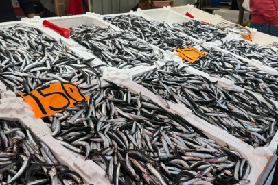 Hamsi azaldı, fiyatlar yeniden yükselişte