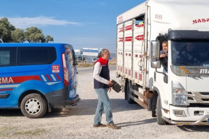 Hayvan sevkiyatına denetim