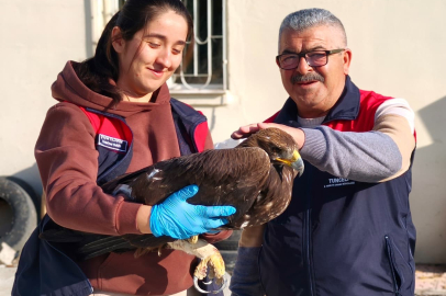 Yaralı Kartala Şefkat Eli