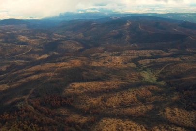 Bursa'da yaz ayında çıkan orman yangınlarında 953 hektarlık alan kül oldu