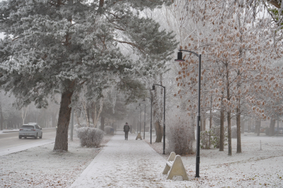 Erzurum'u Sis Kapladı