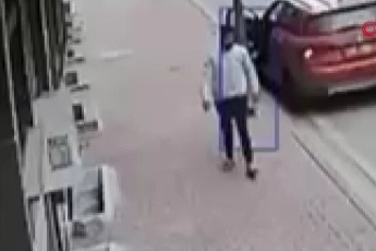 Balkona tırmanıp cins kediyi çaldı