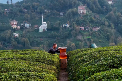 Dev bardağı görenler gözlerine inanamadı
