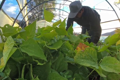 İspir Fasulyesi Dünya Mutfaklarının Gözdesi