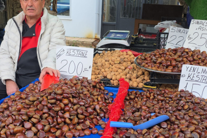 Simav Kestanesine Yoğun İlgi