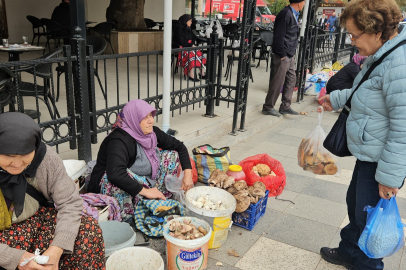 Sındırgı'da depremin ardından vatandaşlar normal hayata dönmeye çalışıyor