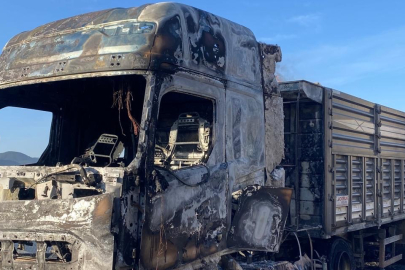 Tır Alevlere Teslim Oldu