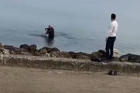 Martı Oltaya Takıldı...