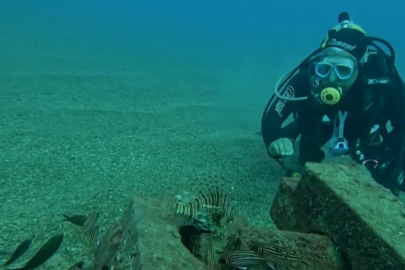 Deniz Dibinde Balıklara Yuva