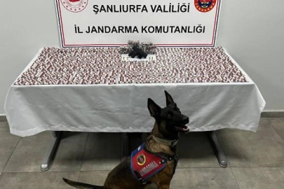 Şanlıurfa'da Uyuşturucuya Geçit Yok