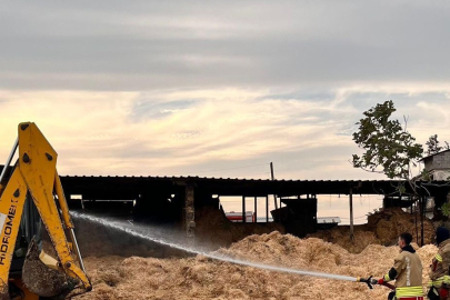 Samanlık Alevlere Teslim Oldu