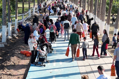 Narenciye Festivali'nde vatandaşlar narenciye ağaçlarından ücretsiz meyve topladı