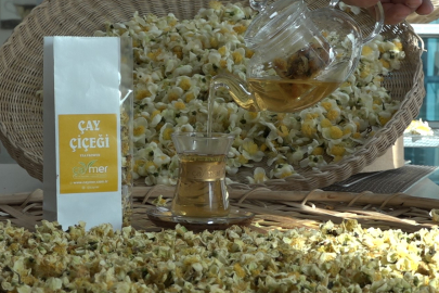 Yeşil, siyah, beyaz, oolong çayı derken şimdi de çayın çiçeğinden de çay yapılıyor