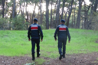 Jandarma ekipleri araçlı ve yaya olarak Sorgun ormanlarında devriye ve denetimlerini arttırdı