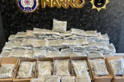 Matbaa görünümlü zehir deposuna baskın