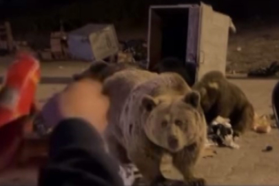 Vatandaşın "Sucuğu elle yedirme" girişimi korku dolu anlara neden oldu