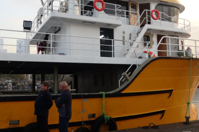 Karadeniz'de Hamsi Bolluğu