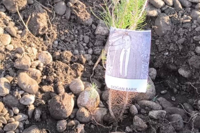 Osmaniye'de Öğretmenler İçin Fidan Dikimi Etkinliği