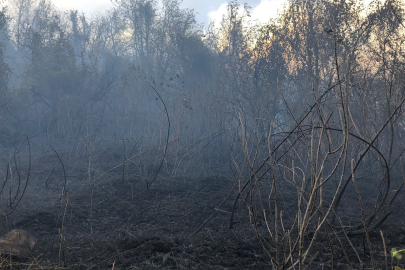 Artvin Hopa'da Orman Yangını