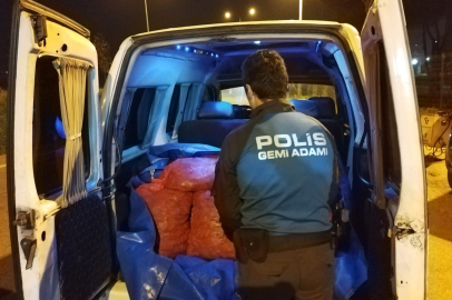 Samsun'da Kaçak Midye Operasyonu