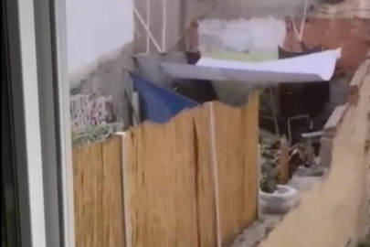 Eskişehir'de köpeğe eziyet eden şahıs yakalandı