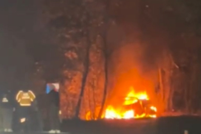 Ağaca Çarpan Araç Alevlere Teslim Oldu