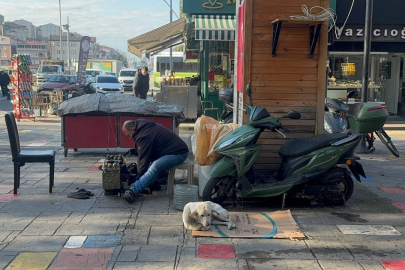 Kazancının yarısını 10 yıldır baktığı engelli köpeği "Pamuk" için harcıyor