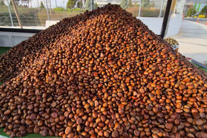 Sokakları ısıtan kış klasiği: Kestanenin dönüşü