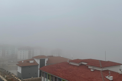 Elazığ'da Sis Hayatı Olumsuz Etkiliyor