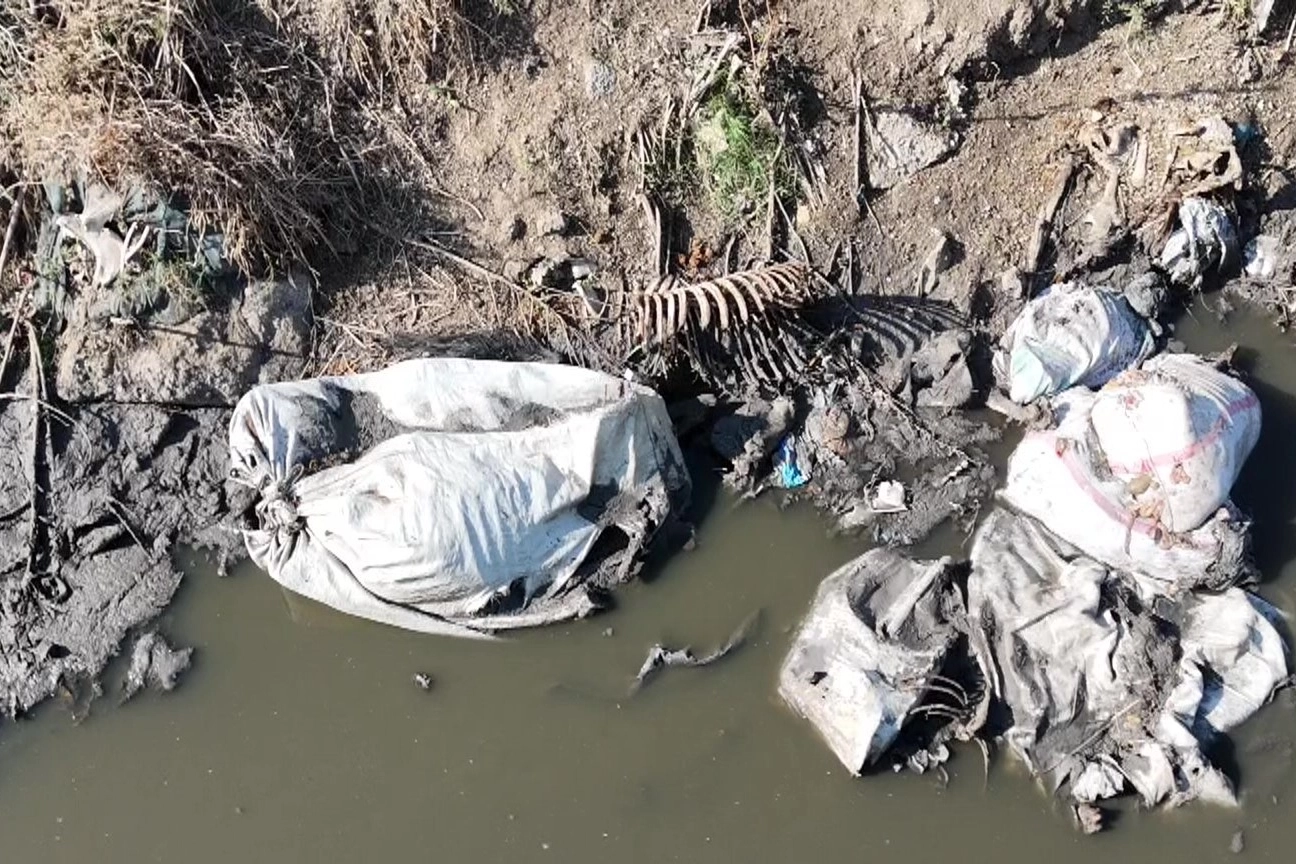Adana'da dere yatağına yine at ve eşek kalıntıları atıldı