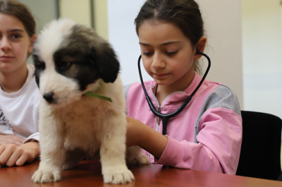 Bursa Büyükşehir Belediyesi'nden Anlamlı Etkinlik