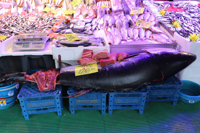 'Gören afallıyor': Eskişehir'de nadir orkinos heyecanı