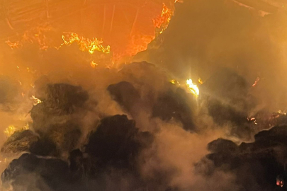 Eskişehir'de Çiftlik Evi Küle Döndü