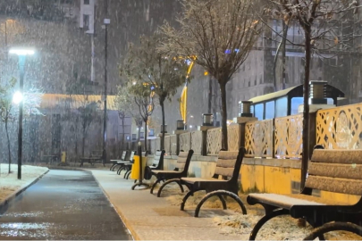 Yüksekova’da lapa lapa kar yağışı