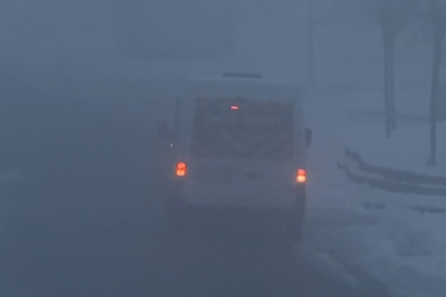 Yüksekova'da yoğun sis yaşamı olumsuz etkiledi
