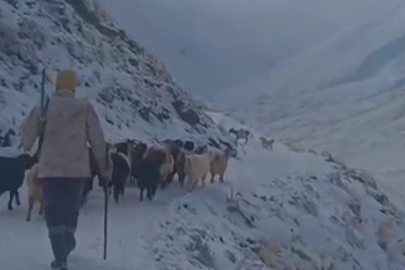 Eleşkirt'te 3 köy yolu ulaşıma kapandı, Taşlıçay'da sürü tipiye yakalandı