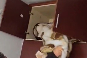 49 farklı suçtan aranan şahıs, gardırobun üst kısmındaki battaniyenin altında çıktı