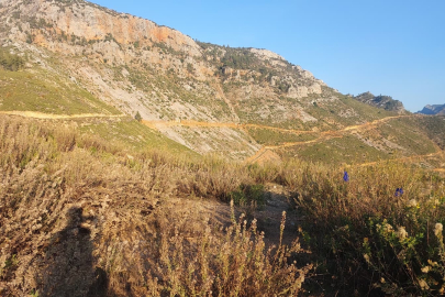 Dağda mantar toplarken fenalaşan adam hayatını kaybetti