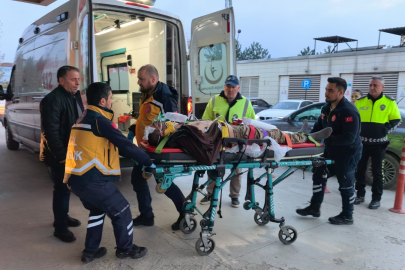 Kontrolden çıkan minibüs şarampole yuvarlandı: 1 yaralı