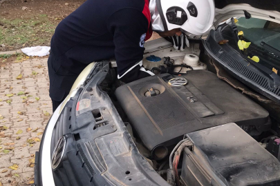 Otomobilin motor kısmına giren kediyi itfaiye ekibi kurtardı