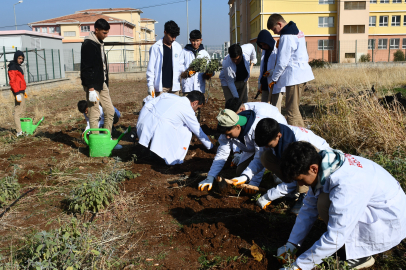 Geleneksel ürünlere alternatif yetiştiriyorlar