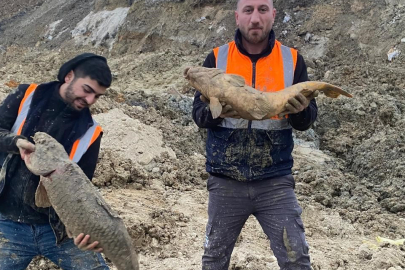 Döküm alanına çevrilen gölde korkutan manzara