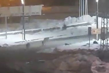 Sürü halinde dolaşan kurtlar vatandaşlara korku dolu anlar yaşattı