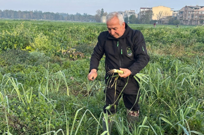 Bursa'da Yemekler Ata Tohumundan Yapılıyor