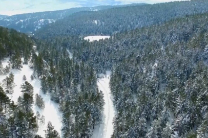 Erzincan Beyaza Büründü